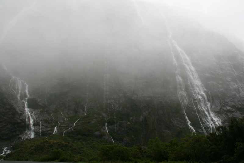 Nieuw-Zeeland 2011 - 1678